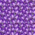 Violet rose flowers on gray background handmade gouache gentle seamless pattern . Background for web pages, wedding Royalty Free Stock Photo