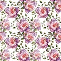 Violet rose , watercolor, pattern seamless, handmade