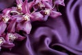 Violet Silk and Orchids