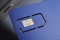 Violet SIM card pre-cut mini, micro, nano sizes and