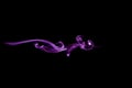 Violet smoke wave isolated