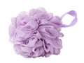 Violet sponge for shower or bath isolated on the white