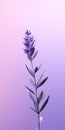 Minimalist Lavender Mobile Wallpaper For Best And Lg Un7300