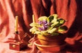 Violet Still Life