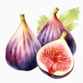 Violet Tasty Flat Icon Fat Genetically Engineered Fig Half Vecto