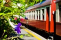 A violet in a train station Royalty Free Stock Photo
