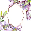 Violet tricyrtis floral botanical flowers. Watercolor background illustration set. Frame border ornament square.