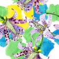 Violet tricyrtis floral botanical flowers. Watercolor background illustration set. Seamless background pattern.