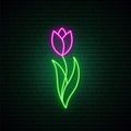 Violet tulip flower neon sign. Bright light spring blooming flower illustration. Royalty Free Stock Photo