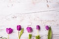 Violet tulip flowers on a white wooden background. Copy space. Royalty Free Stock Photo