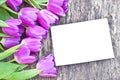 Violet tulips on the oak brown table with white sheet of paper Royalty Free Stock Photo