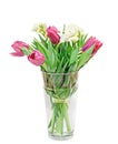 Violet tulips, white freesias, bouquet, floral arrangement in a transparent vase filled with water, isolated, white background Royalty Free Stock Photo