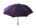 Violet umbrella