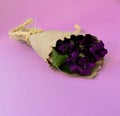 Bouguet violet viola beauty flowers
