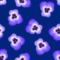 Violet Viola Garden Pansy Flower on Navy Blue Background. Vector Illustration