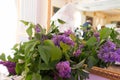 Violet wedding decoration with flowers of lilac