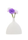 Violet and white flowers in trendy vase. Modern posy, floral bouquet isolated on white background
