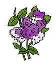 Violet and white tiny flowers illustration vector isolated Royalty Free Stock Photo