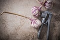 Violet whole garlic and vintage garlic press