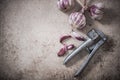 Violet whole garlic and vintage garlic press