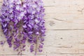 Violet wisteria flowers on white wooden background