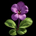 Violet Wood-sorrel flower illustration vector