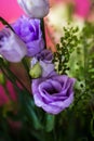 Violet and yellow lisianthus flower, closeup