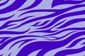 Violet Zebra print. Stripes, animal skin, tiger stripes, abstract pattern, line background. Black and white vector monochrome Royalty Free Stock Photo