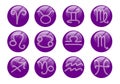 Violet zodiac set Royalty Free Stock Photo