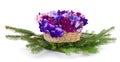 Violets beautiful flowers in basket,christmas Royalty Free Stock Photo
