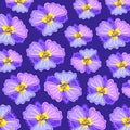 Violets. Floral bright pattern. Stylized flat buds Royalty Free Stock Photo