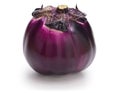 Violetta di Firenze, Italian round purple eggplant