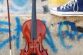 The violin