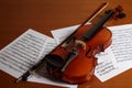 The Violin Royalty Free Stock Photo