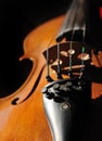 Violin Royalty Free Stock Photo