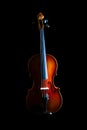 The Violin Royalty Free Stock Photo