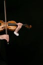 Violin Royalty Free Stock Photo