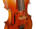 The violin