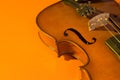 Violin