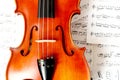 Violin