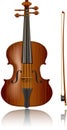 Violin