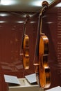 Violin, Antonio Stradivary, Cremona, Italy, 1736