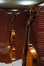 Violin, Antonio Stradivary, Cremona, Italy, 1736