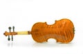Violin back Royalty Free Stock Photo