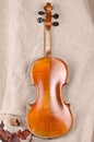 Violin back view Royalty Free Stock Photo