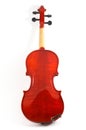 Violin back view on white back Royalty Free Stock Photo