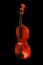 Violin on black Royalty Free Stock Photo