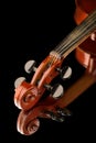 Violin on black background Royalty Free Stock Photo