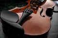 Violin on a black background,