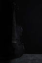Violin black and white artistic conversion rim lighting Royalty Free Stock Photo
